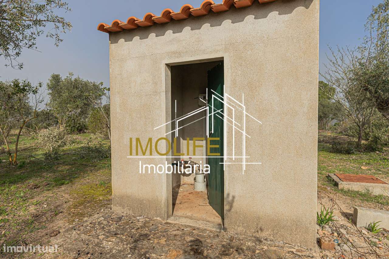 MONTINHO DO CHIADO - MALARRANHA - PAVIA-26