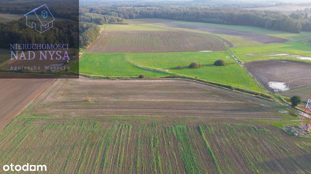 działka rolna na sprzedaż, pow. 13179 m2, Trójca! - Pełny obrazek: 4/5