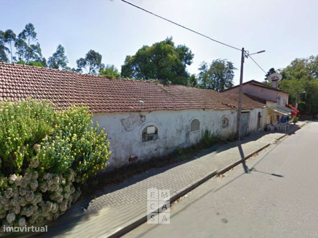 Moradia para restauro ou construção em Macinhata do Vouga - Grande imagem: 4/4