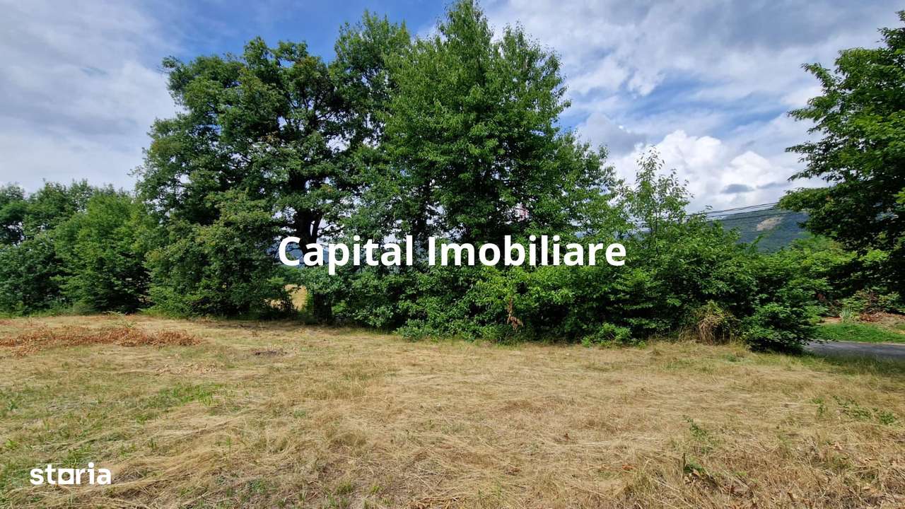 Teren Baia Sprie: 5143 mp, Parcelabil, Comision 0! - Imagine principală: 3/7