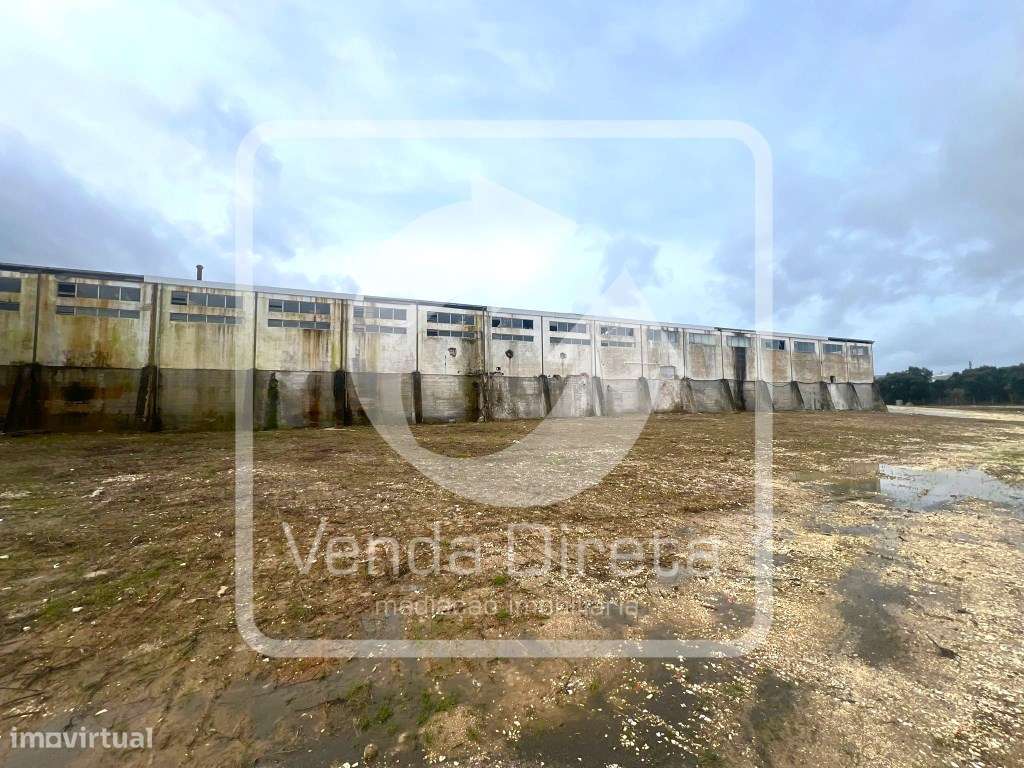 Pavilhão Industrial com 12.056 m² - Excelente Funcionalidade e Aces... - Grande imagem: 5/50