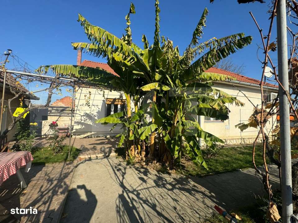 Teren 3450mp de vanzare cu o casa 3 camere, Grigorescu - Imagine principală: 5/19