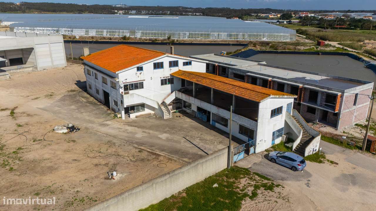 Oportunidade Única: Propriedade Versátil de 26.200 m² em A-dos-Cunhado - Grande imagem: 5/26