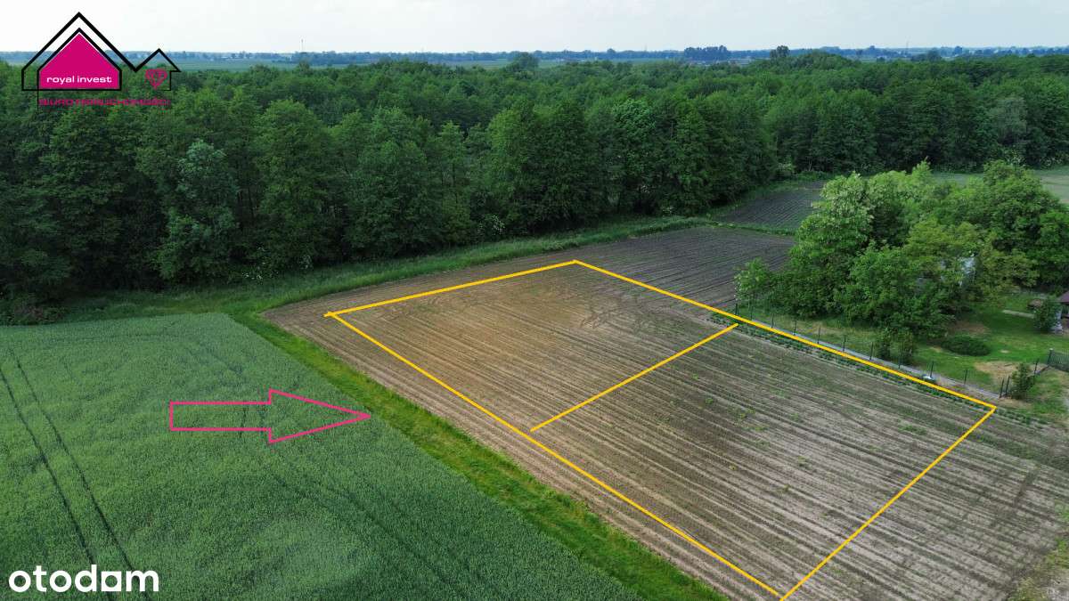 Nowa cena! Działki 1000m2/Dobrosołowo/stawy, - Pełny obrazek: 1/7