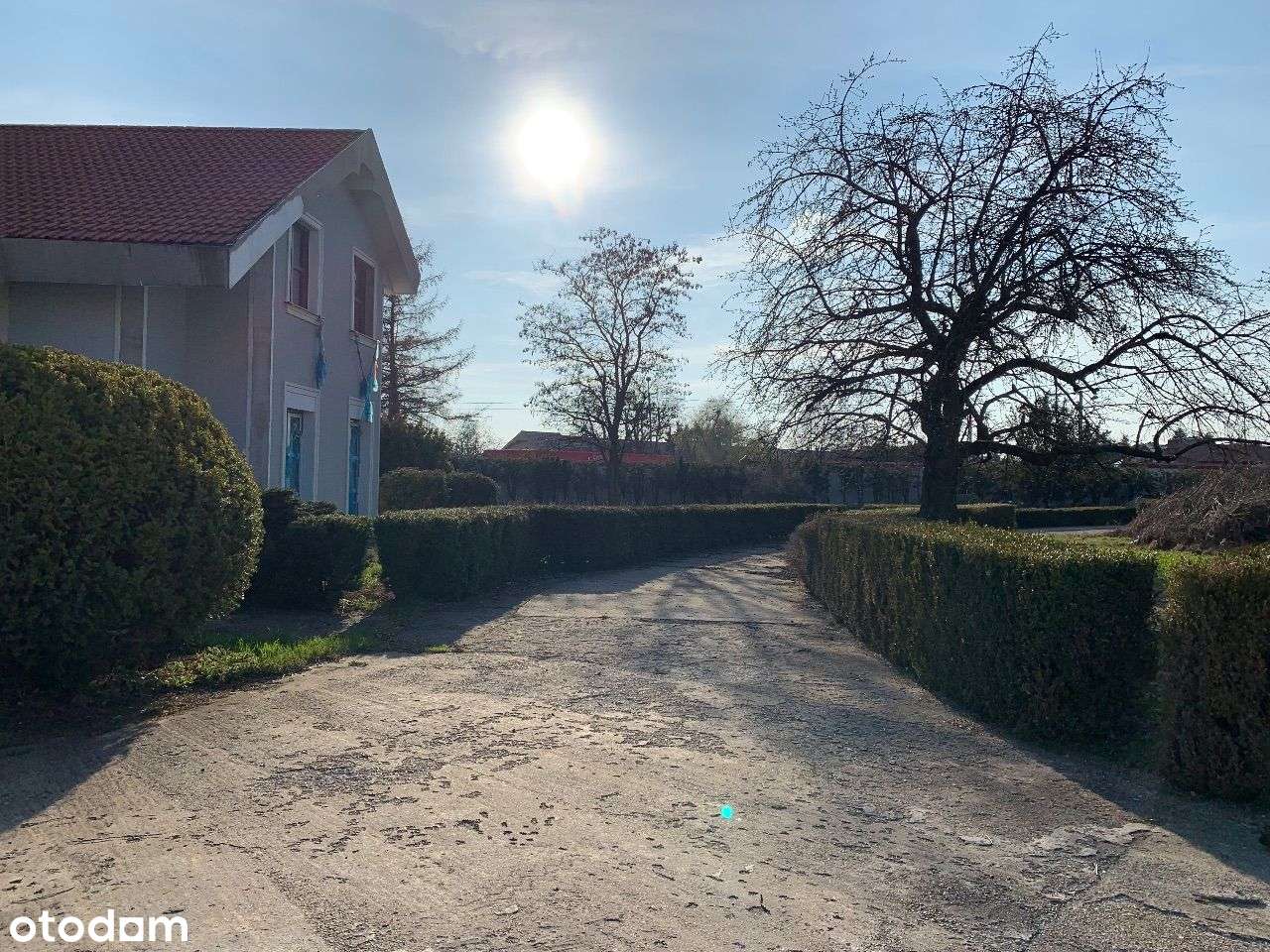 Rezydencja w Suchym Lesie - Pełny obrazek: 4/7