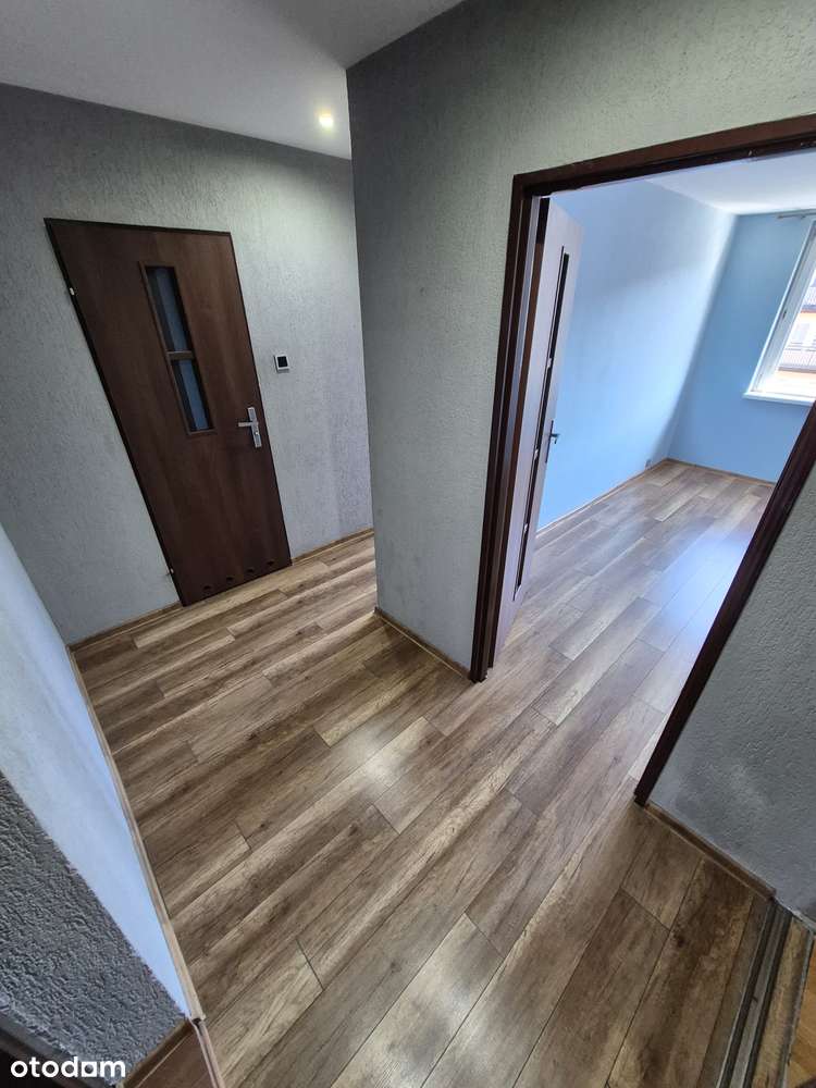 3 pokoje Katowice - super lokalizacja - wolne od zaraz!-3