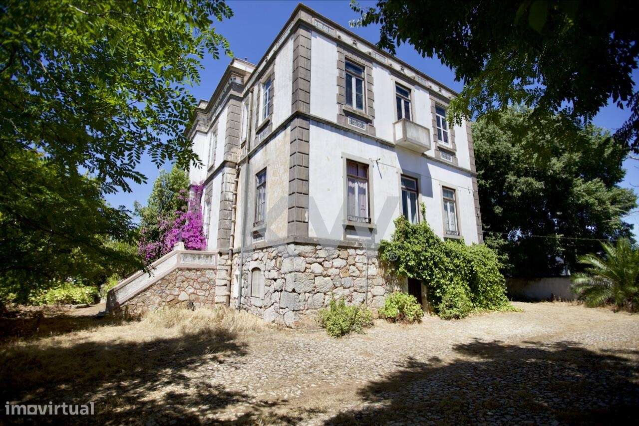 Palacete em Serpa: Uma Oportunidade Imperdível para apaixonados do Ale - Grande imagem: 5/51