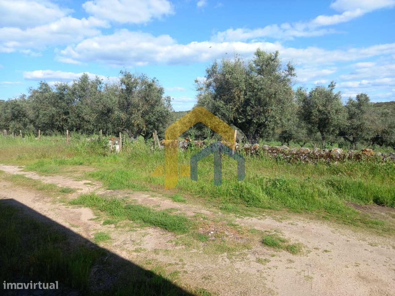 🏡 Quintinha em Monforte-7