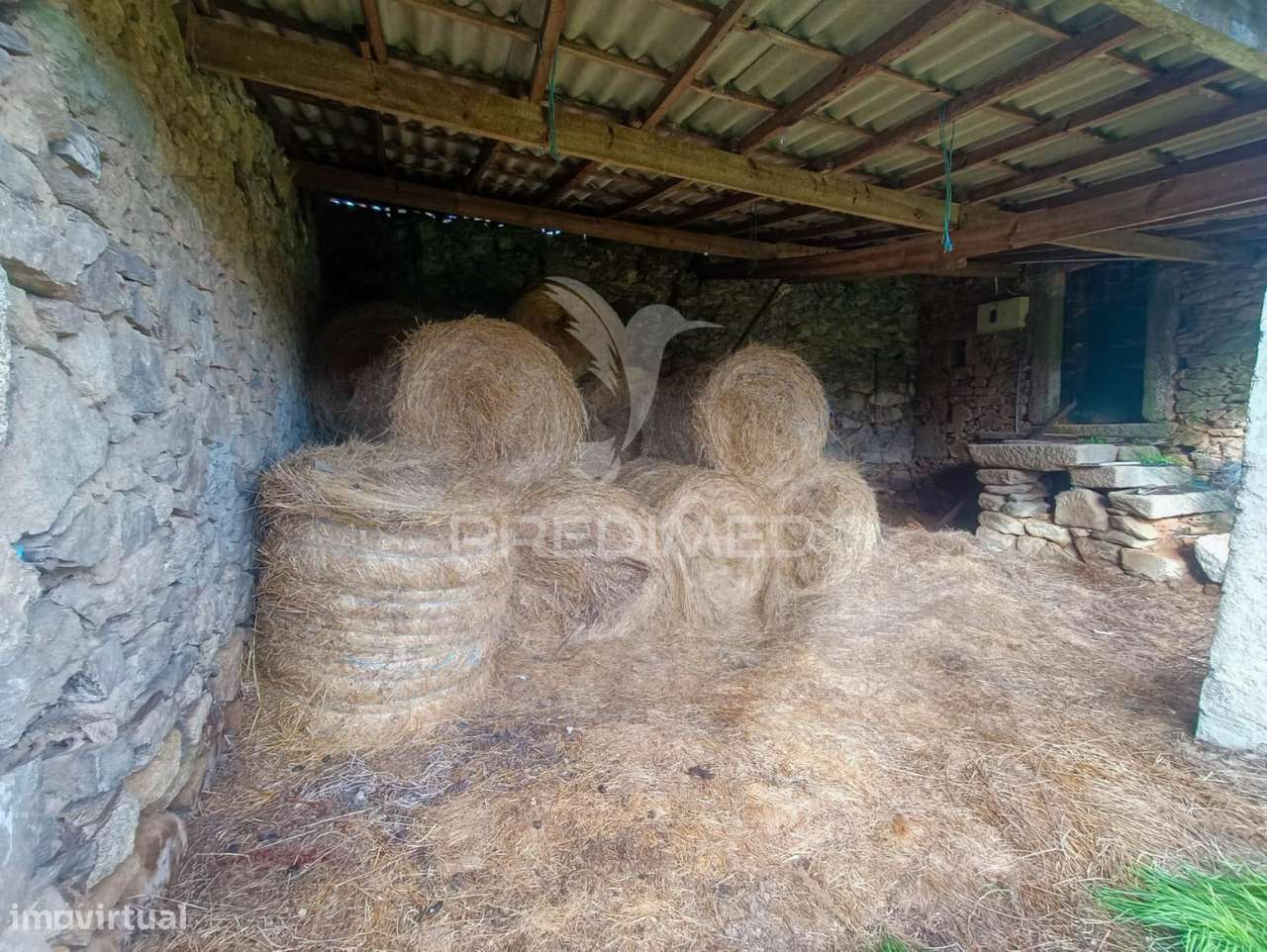 Quinta no Concelho de Trancoso com + de 16 hectares - Grande imagem: 5/18