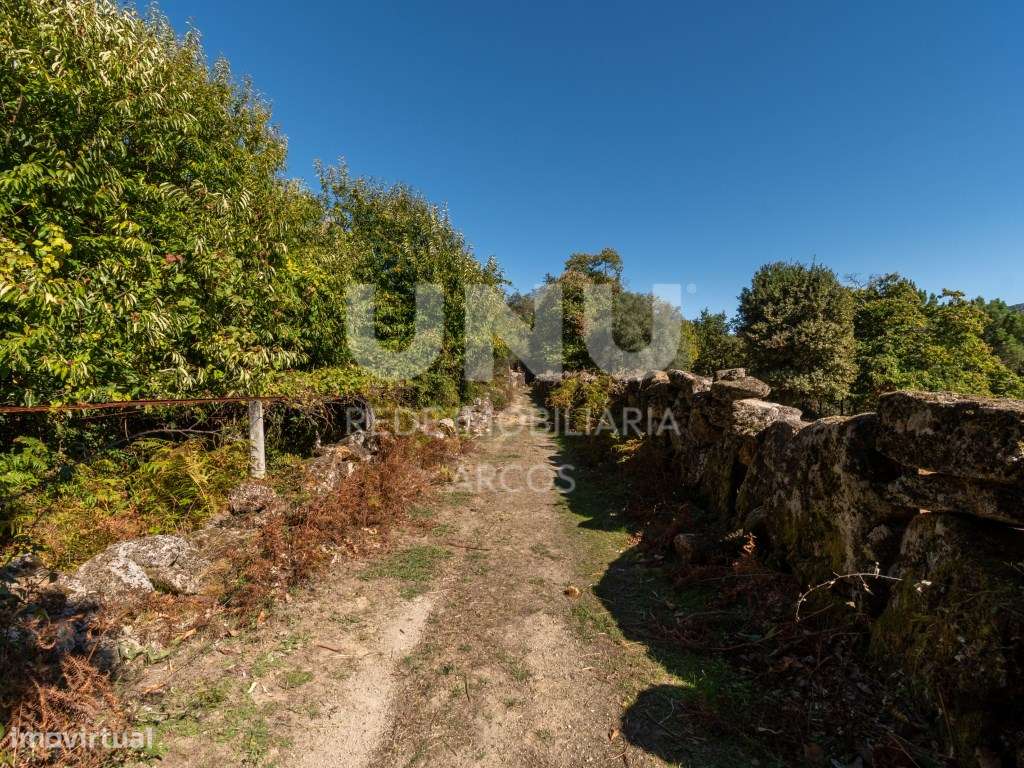 TERRENO AGRÍCOLA COM CASA DE PEDRA DE DOIS PISOS - Grande imagem: 5/24