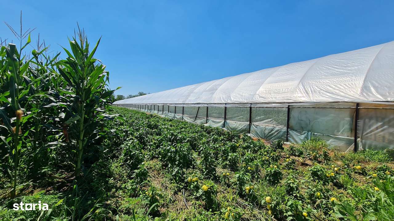 Afacere la cheie! Incasari din prima zi!!! - Imagine principală: 1/10