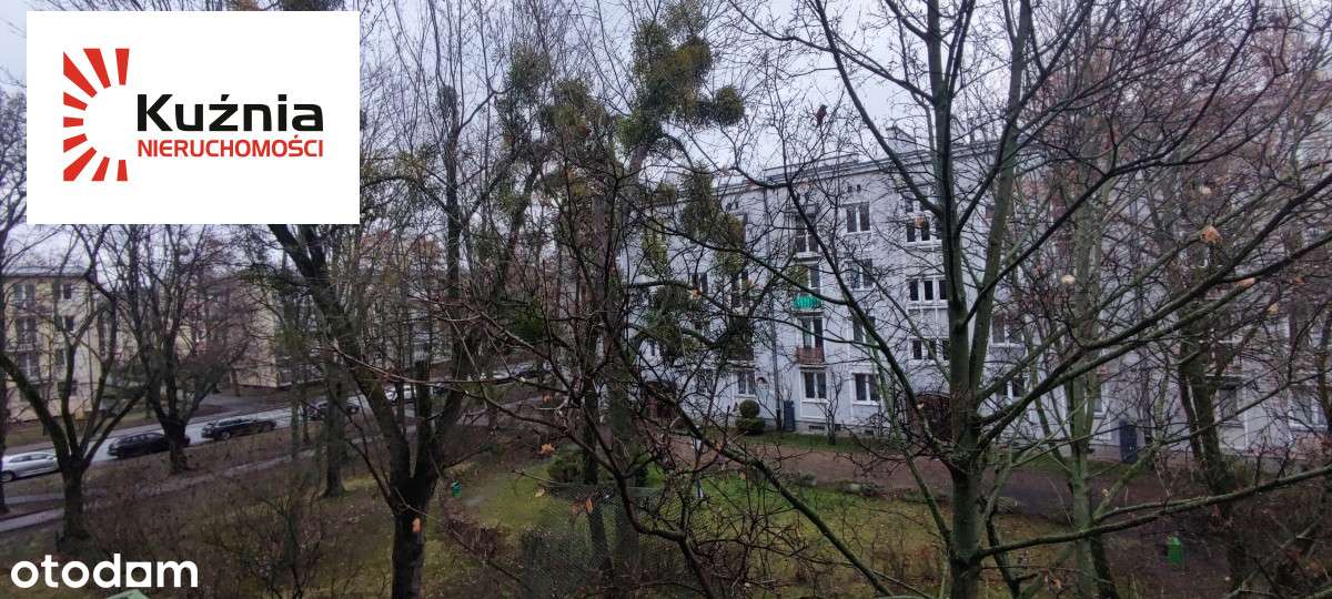 Bez Prowizji - Cegła - Stare Bielany-16