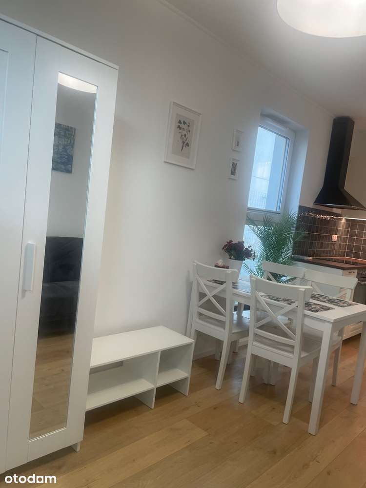 NOWE, PIERWSZY NAJEMCA. - Pełny obrazek: 5/16