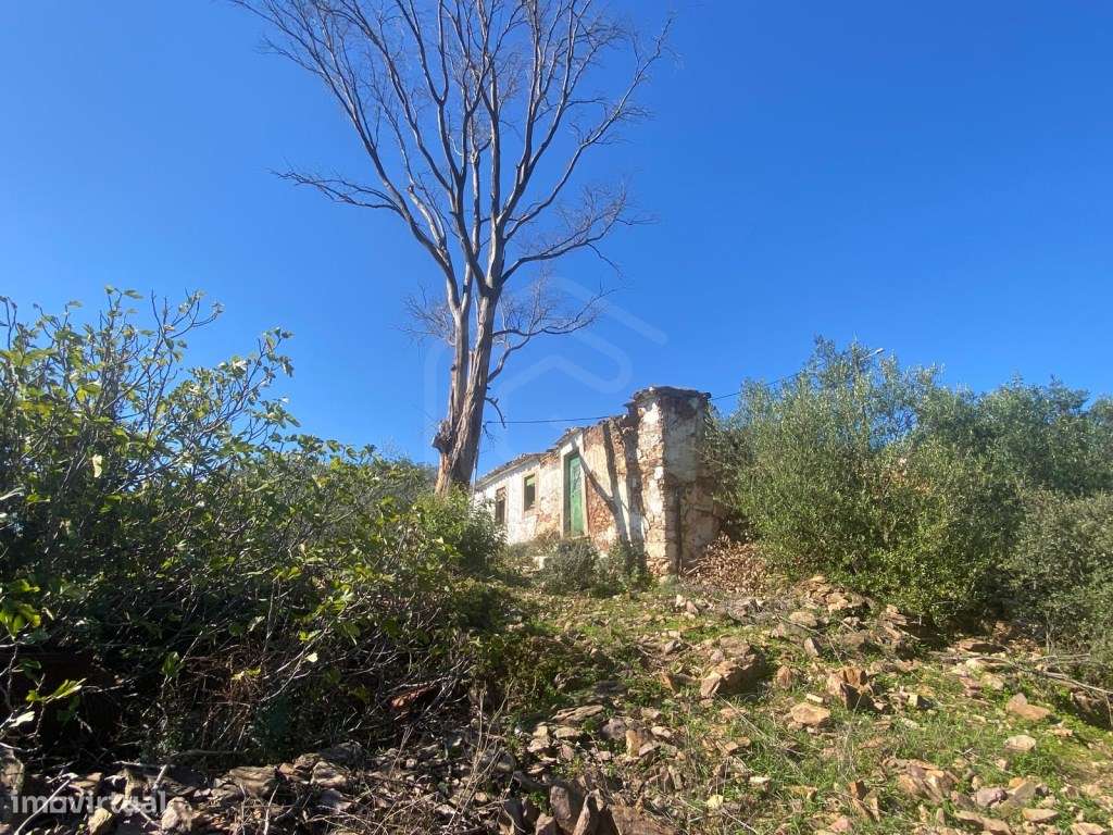 Moradia Tradicional para Restauro, São Brás de Alportel, Algarve - Grande imagem: 5/25