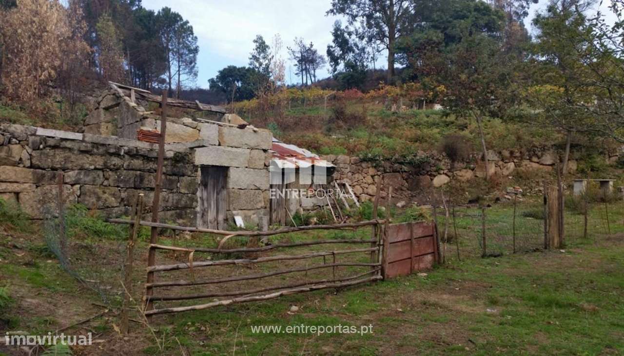 Venda Quinta, Penhalonga, Marco de Canaveses - Grande imagem: 4/13