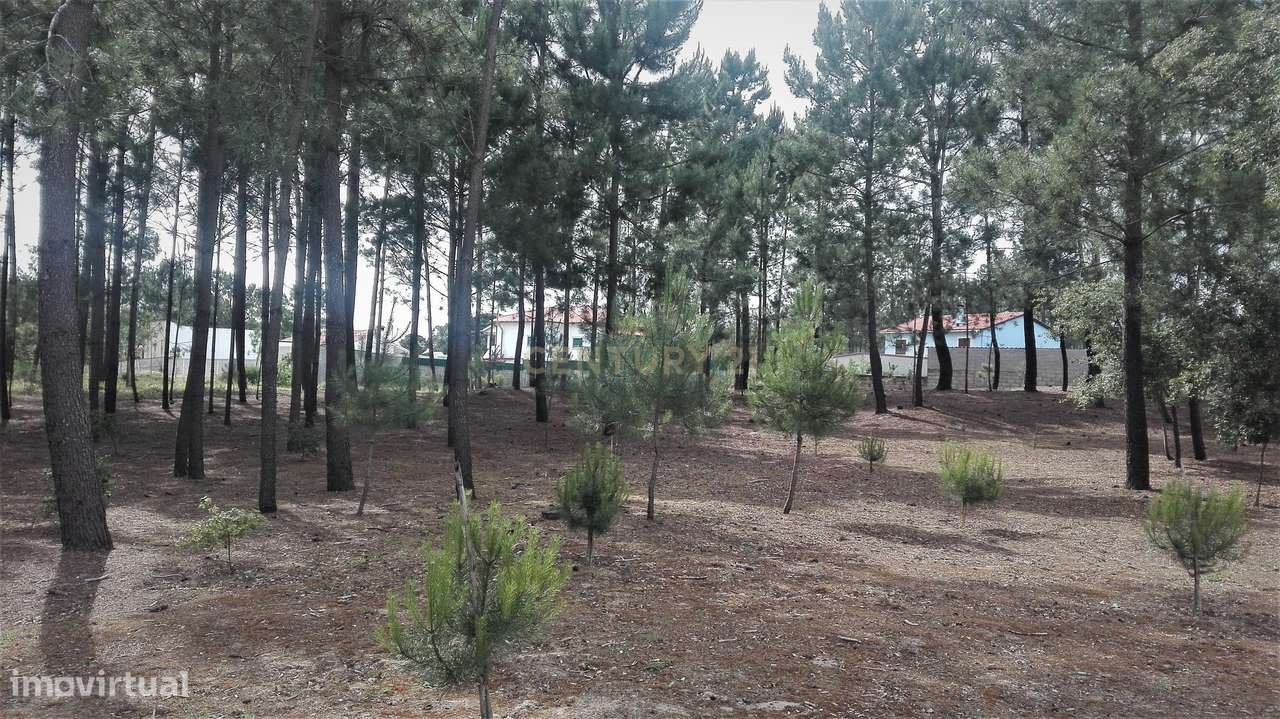 Terreno  para construção ideal para moradia unifamiliar - Grande imagem: 2/5