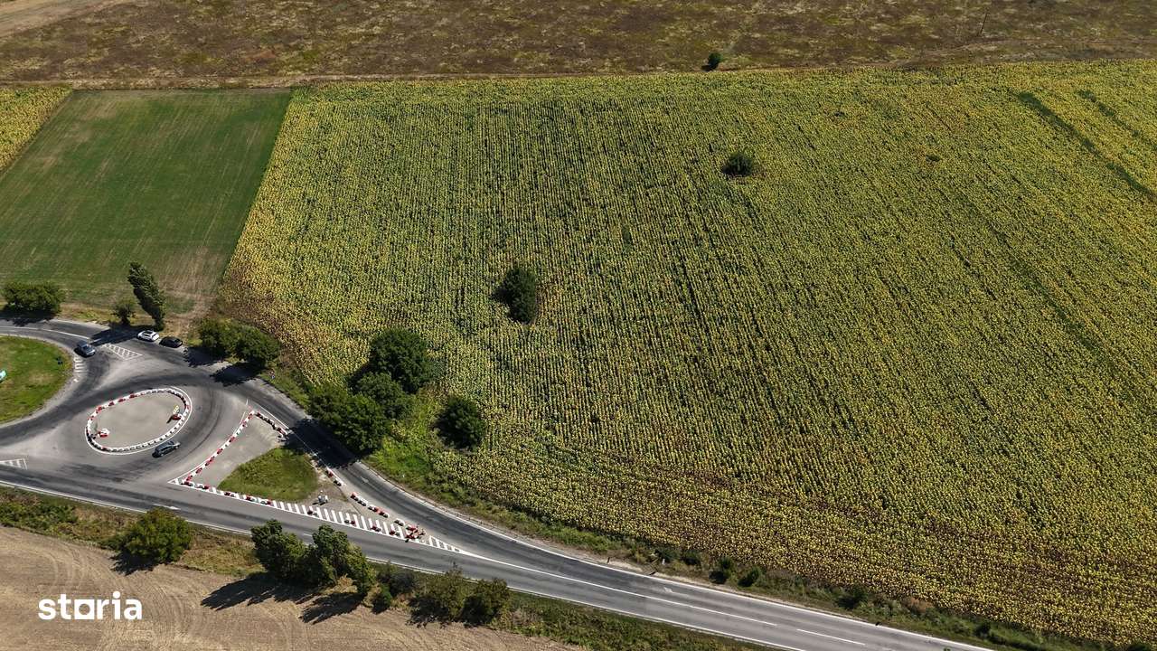 Teren ideal pentru Hala sau Depozit in Berceni, Prahova - Imagine principală: 3/5