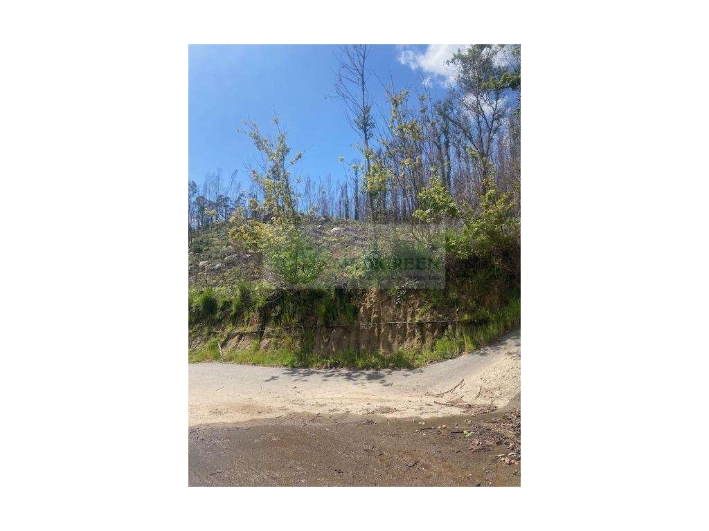 TERRENO PARA CONSTRUÇÃO - Grande imagem: 4/11