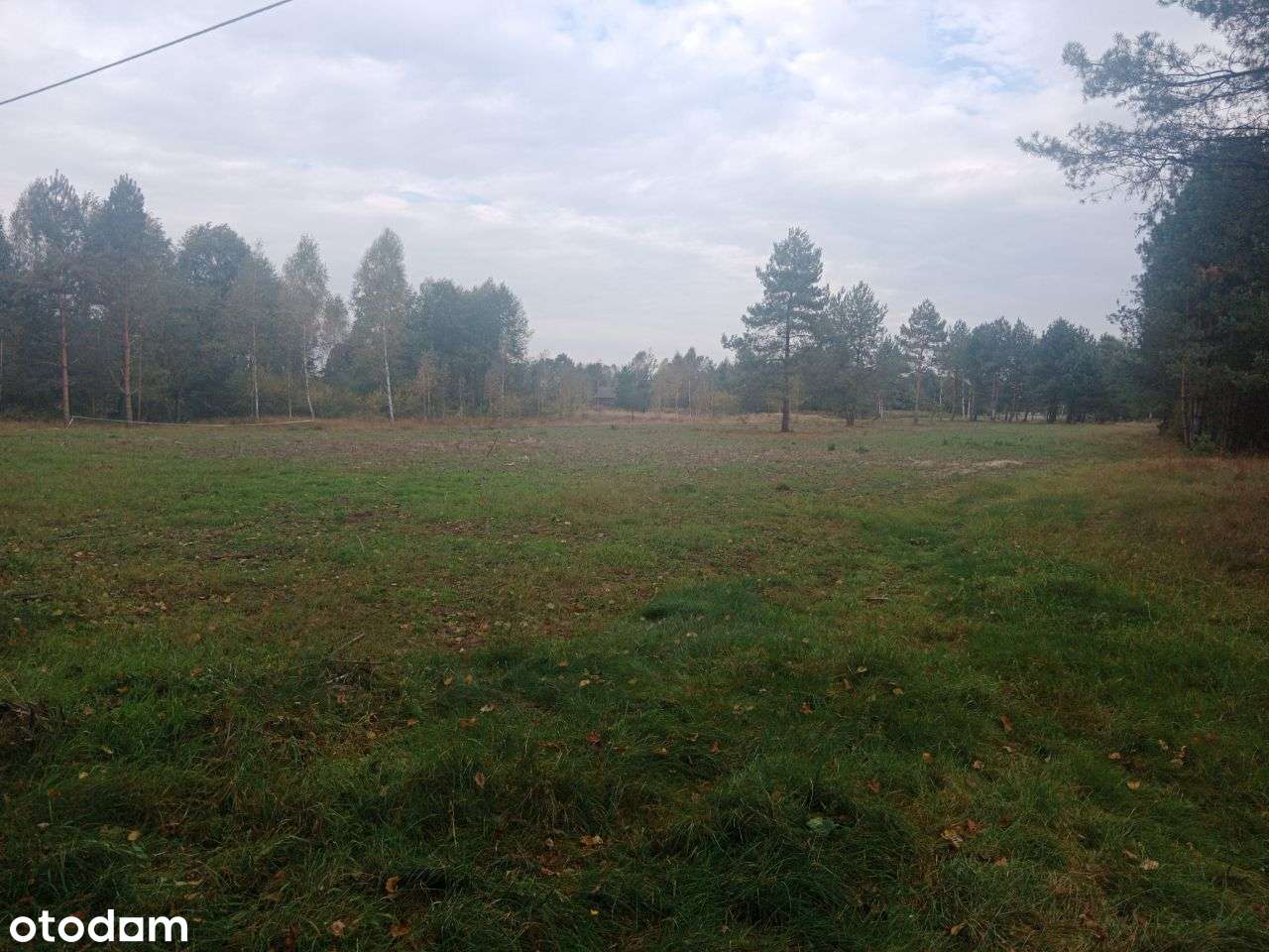 Sprzedam działkę budowlaną przy Lesie - Pełny obrazek: 5/7