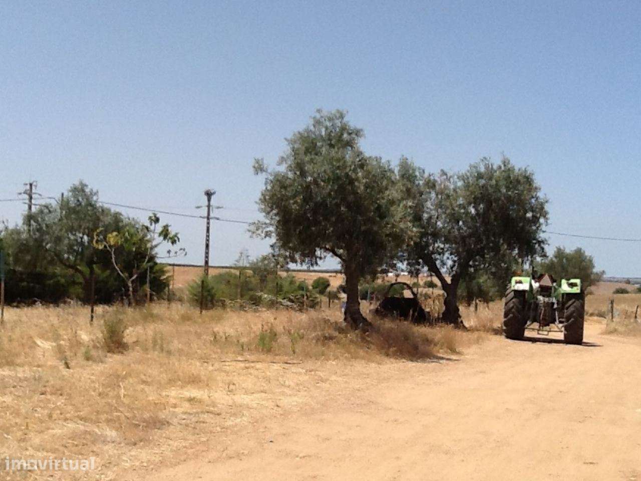 Herdade Mourão 80,44 ha banhada pelas águas do Alqueva-10