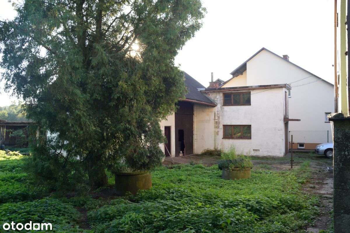 blw466984 - Pełny obrazek: 4/20