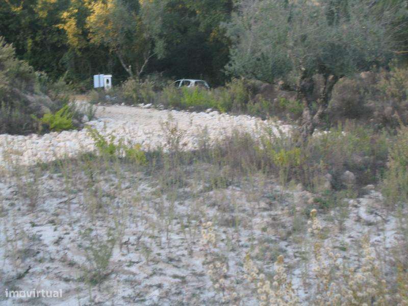 TERRENO PARA VENDA, ourém - nossa senhora da piedade - Grande imagem: 4/6