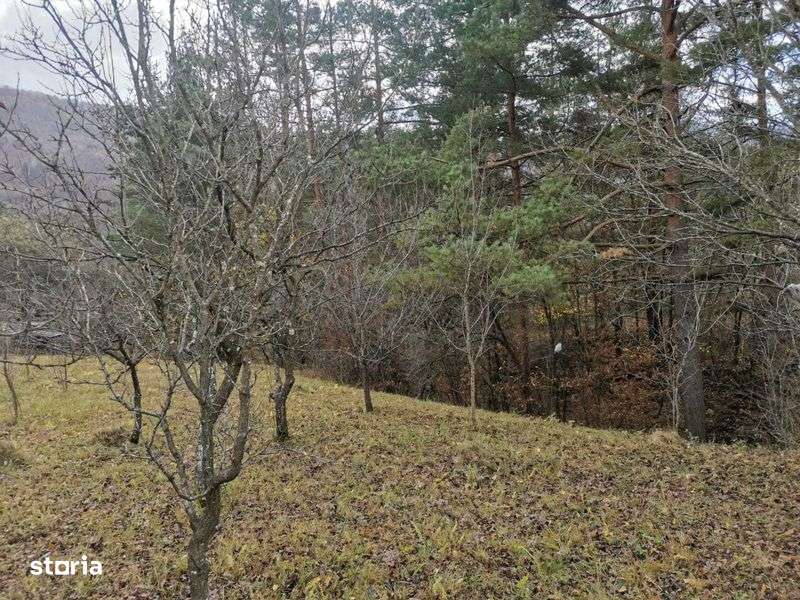 Teren de Vanzare 1000 m2 - Imagine principală: 5/6