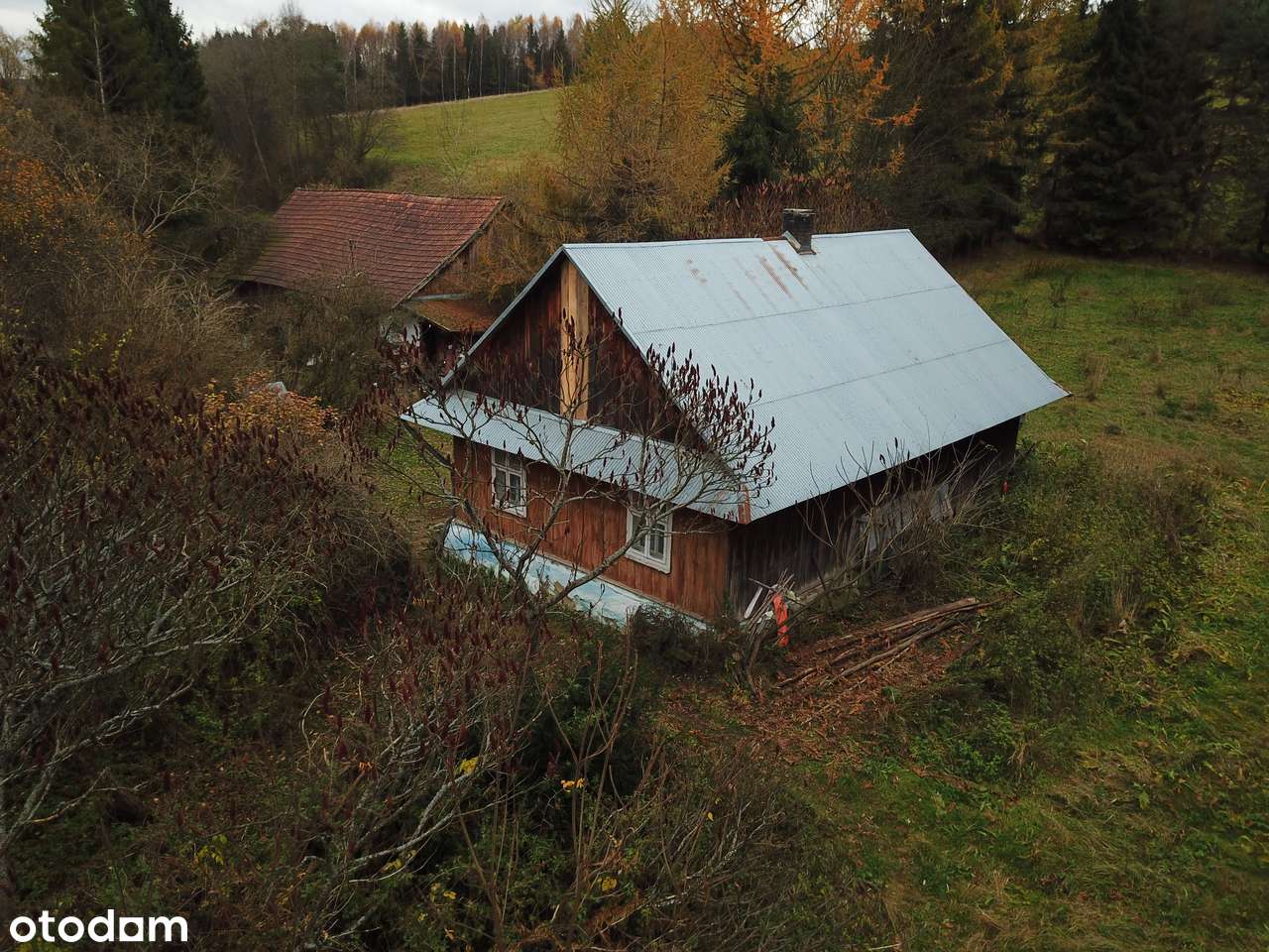 Dom i działki 9,5 ha w Bieszczadach (Wojtkówka, gmina Ustrzyki Dolne) - Pełny obrazek: 5/8