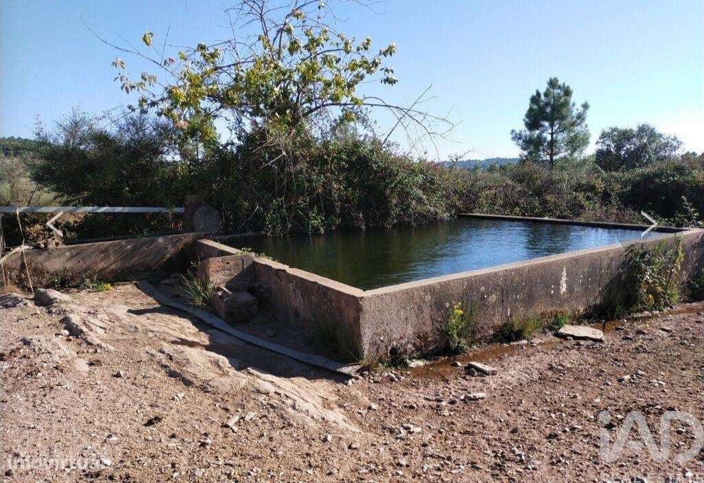 Quinta T3 em São Salvador da Aramenha de 110,00 m2 - Grande imagem: 5/7