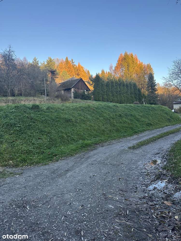 Dom pod lasem ze stodołą !  z potemcjałem , do remontu, ok. Krakowa-6