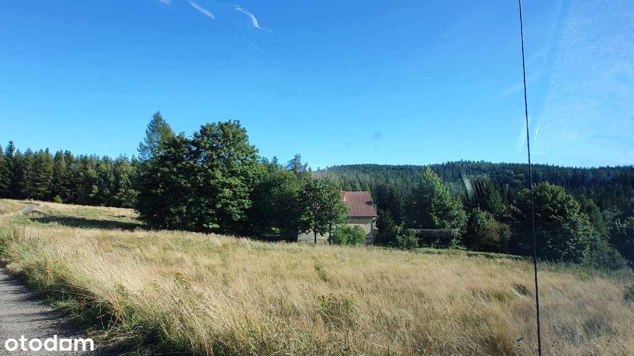 Siedlisko - niesamowite miejsce do życia w ciszy i spokoju - Pełny obrazek: 4/8