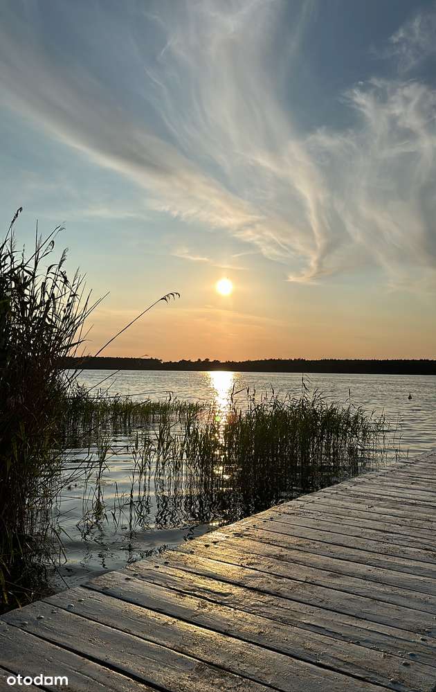 Dom letniskowy  i działka  1000 m pod lasem! - Pełny obrazek: 5/9