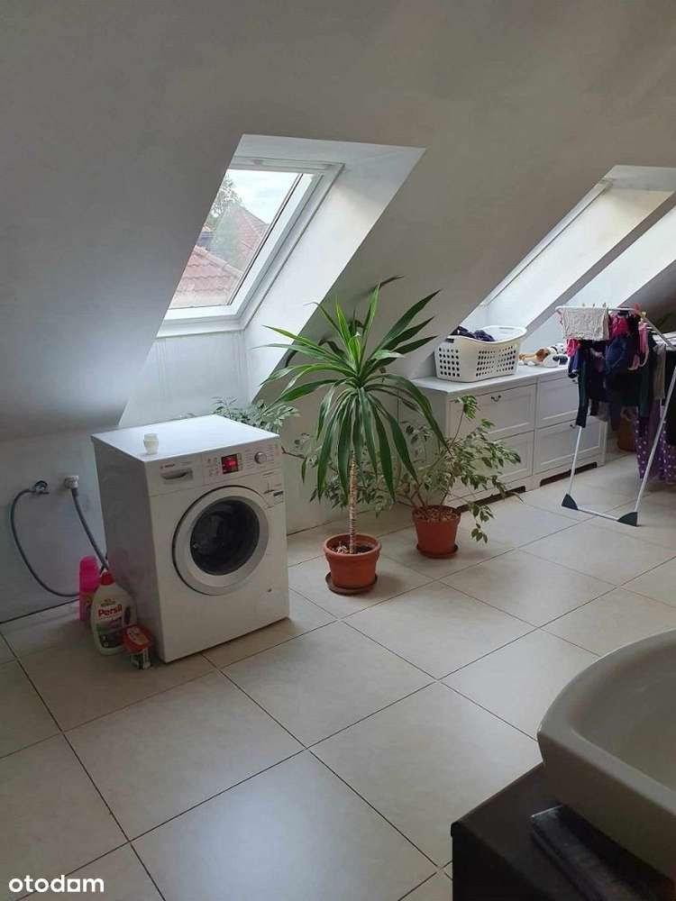 Dom z własnym lasem w Kochlicach-16