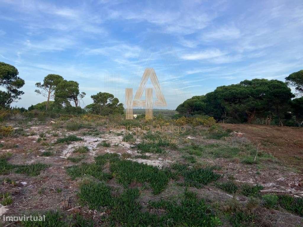 Terreno Rústico em Aldeia do Meco - Grande imagem: 5/7