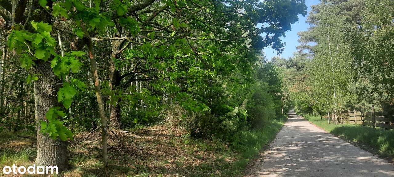 Działka SIEDLISKOWA 1MR 40km od Poznania lasy  jezioro, stadnina koni-17