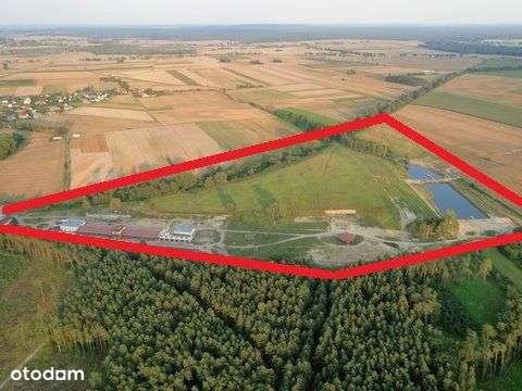 Obiekt hotelowy, hotel - Puszcza Notecka - Pełny obrazek: 5/20