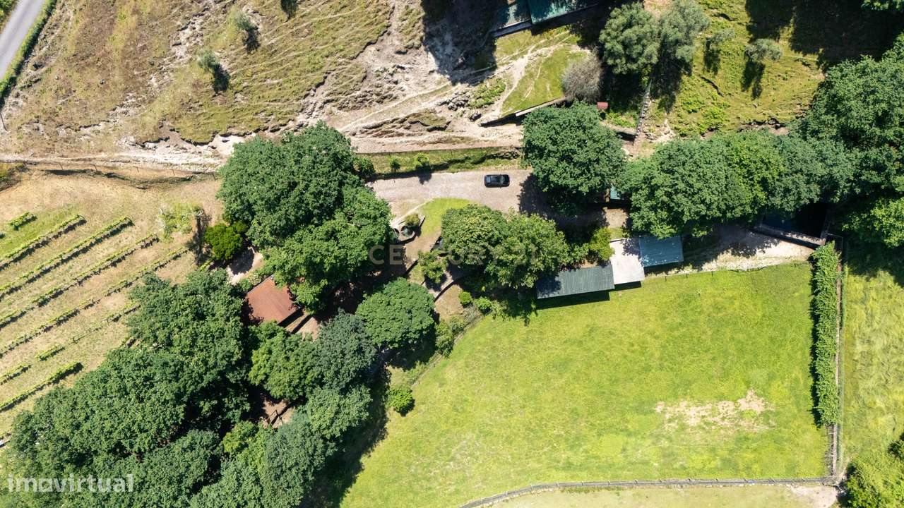 Quinta de Luxo de Vinho e Natureza com Potencial de Expansão perto do-41