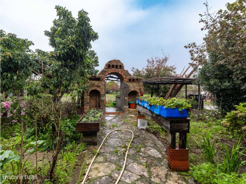 Moradia T5+2 com Jardim, Quintal e Anexos - Sepins e Bolho, Cantanhede - Grande imagem: 5/34