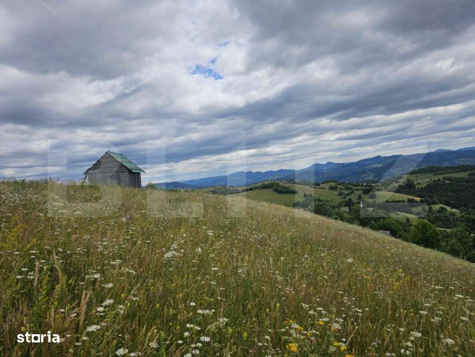 Teren extravilan de 14331 mp, zona montana, Certege, Campeni - Imagine principală: 2/7