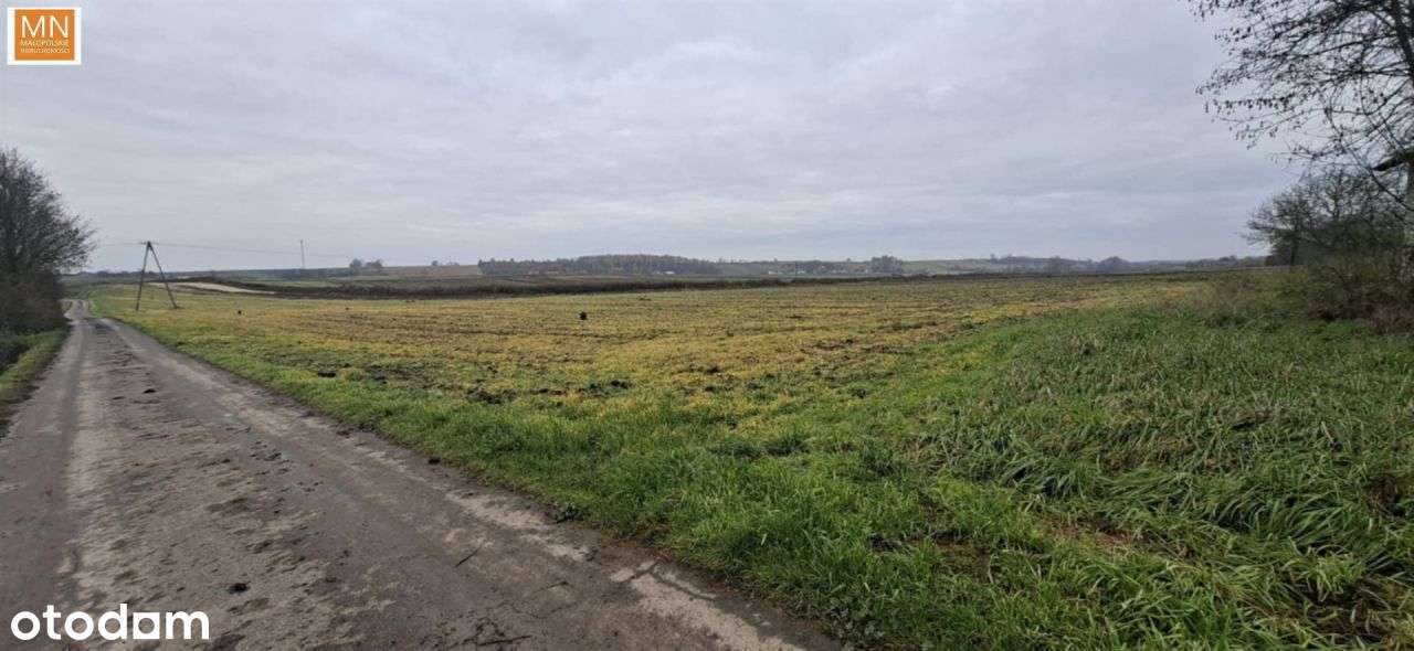 Budowlana 15a za 330 tys. - Pełny obrazek: 4/7