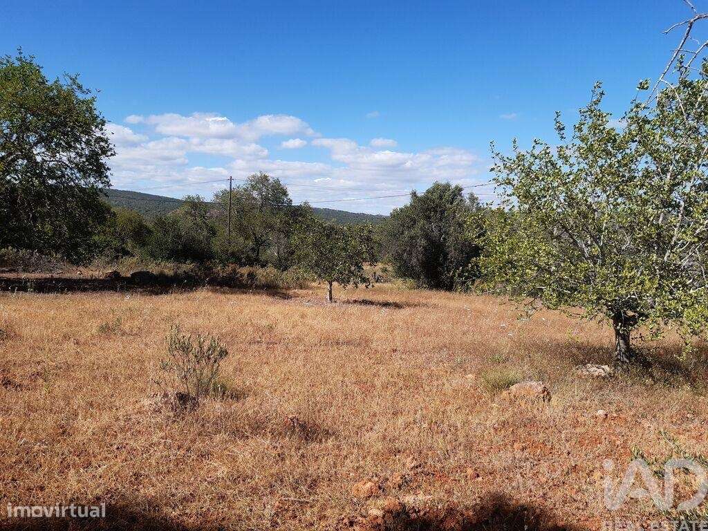 Terreno Agrícola em Alte de 6870,00 m2 - Grande imagem: 4/7