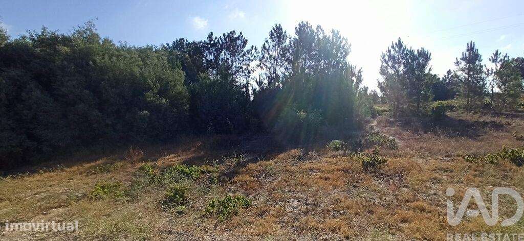 Terreno para construção em Coruche, Fajarda e Erra de 522,00 m2 - Grande imagem: 3/6