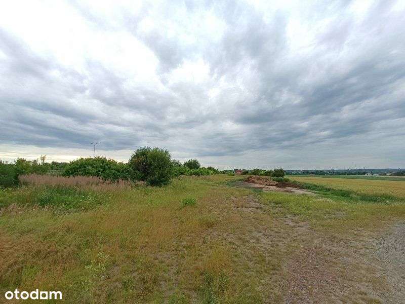 Gliwice, Sośnica A1, A4, 3,6 ha - Pełny obrazek: 4/5