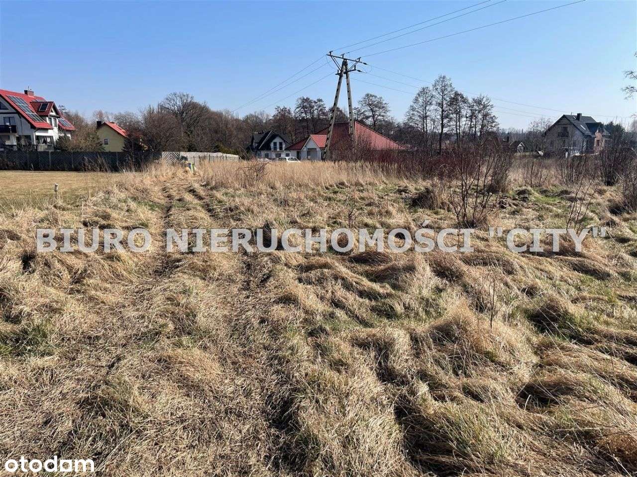 Działka, 3 004 m², Żary - Pełny obrazek: 5/13