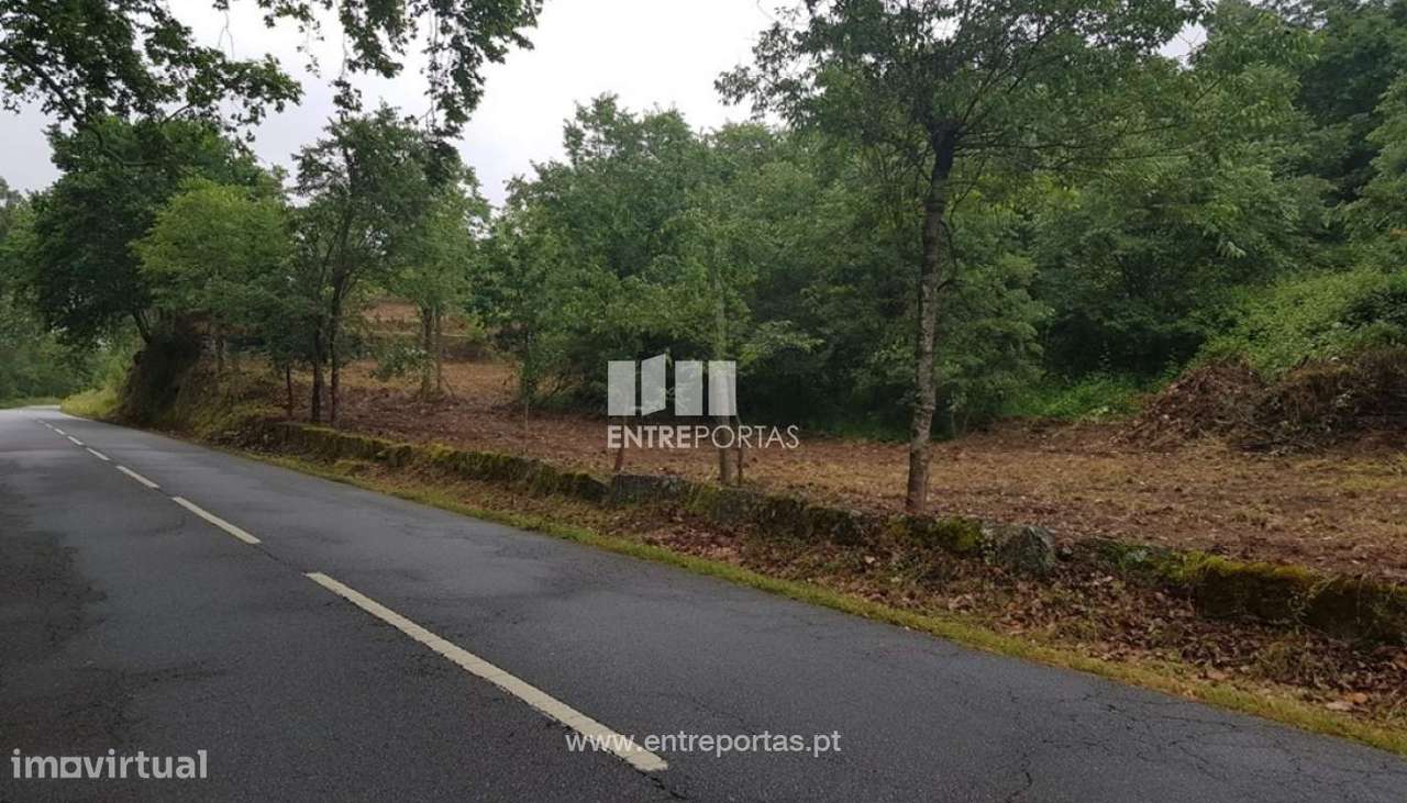 Venda Quinta com Moradia, Várzea de Ovelha e Aliviada, Marco de Canav - Grande imagem: 4/36