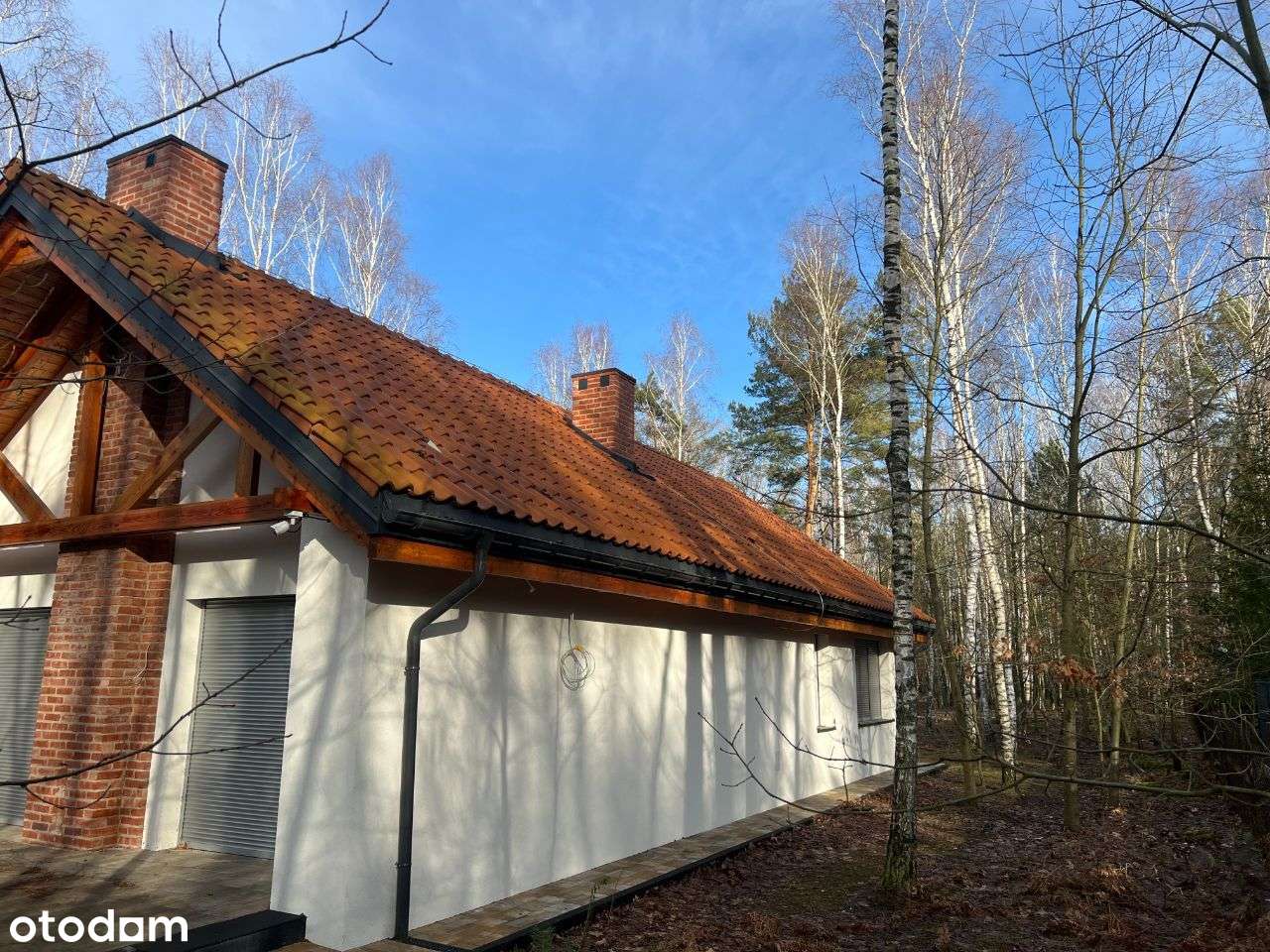 Sprzedam dom do zamieszkania w Skierniewice/Borowiny - Pełny obrazek: 5/20