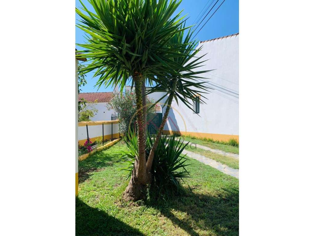 Moradia T3 no Telheiro - Perto do Castelo de Monsaraz e Praia Fluvial-23