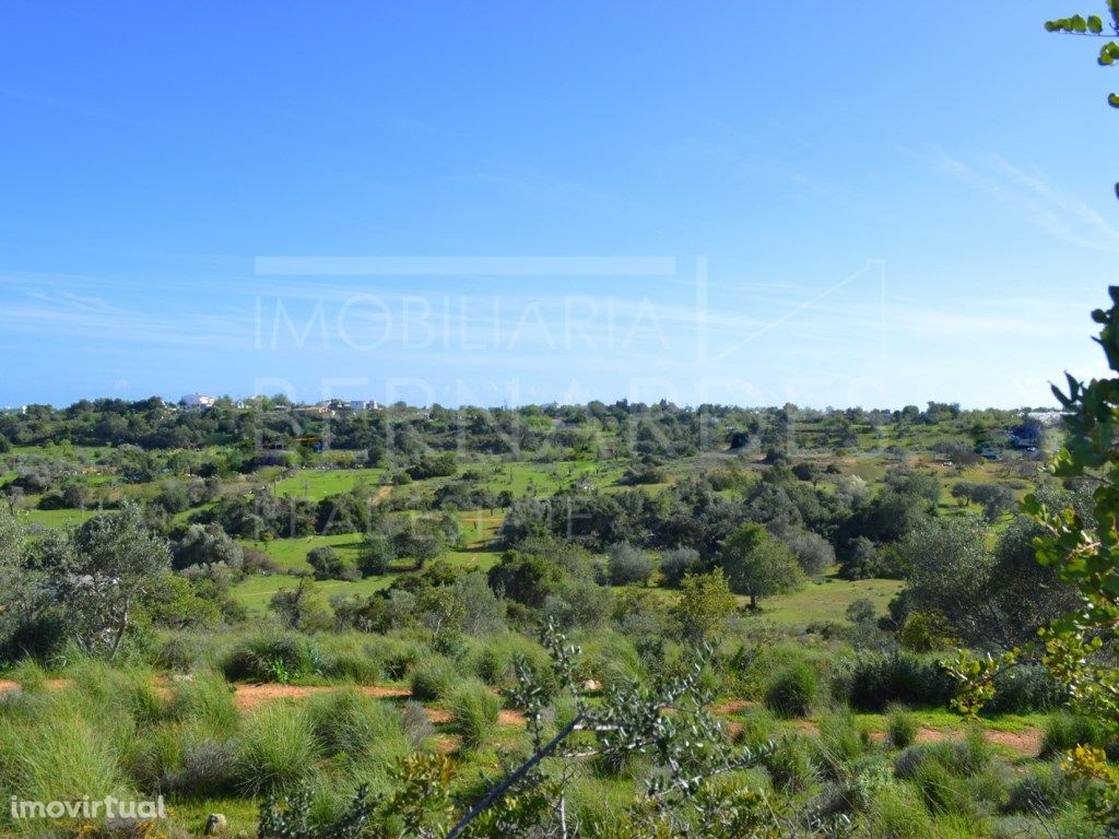 Terreno Rústico com 35400 m2 Olhão Quelfes