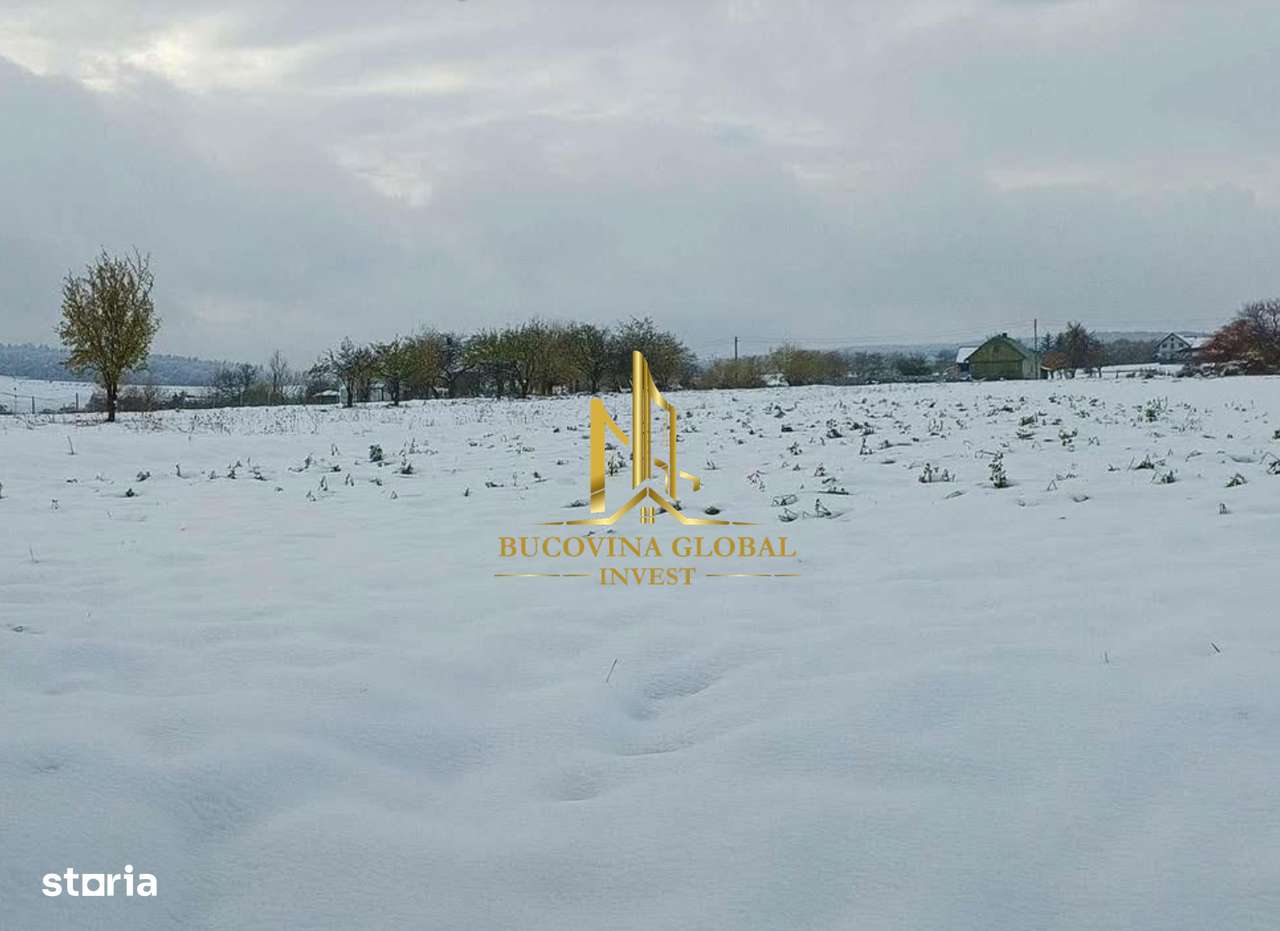 Teren de vânzare în Ilișești- 2900 mp, super preț! - Imagine principală: 3/3