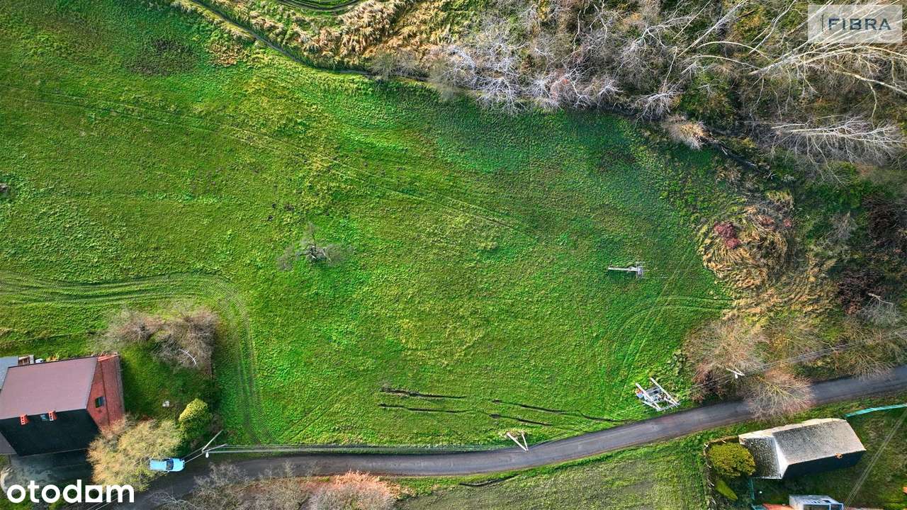 Nadzwyczajnie się prezentuje! - Pełny obrazek: 2/20